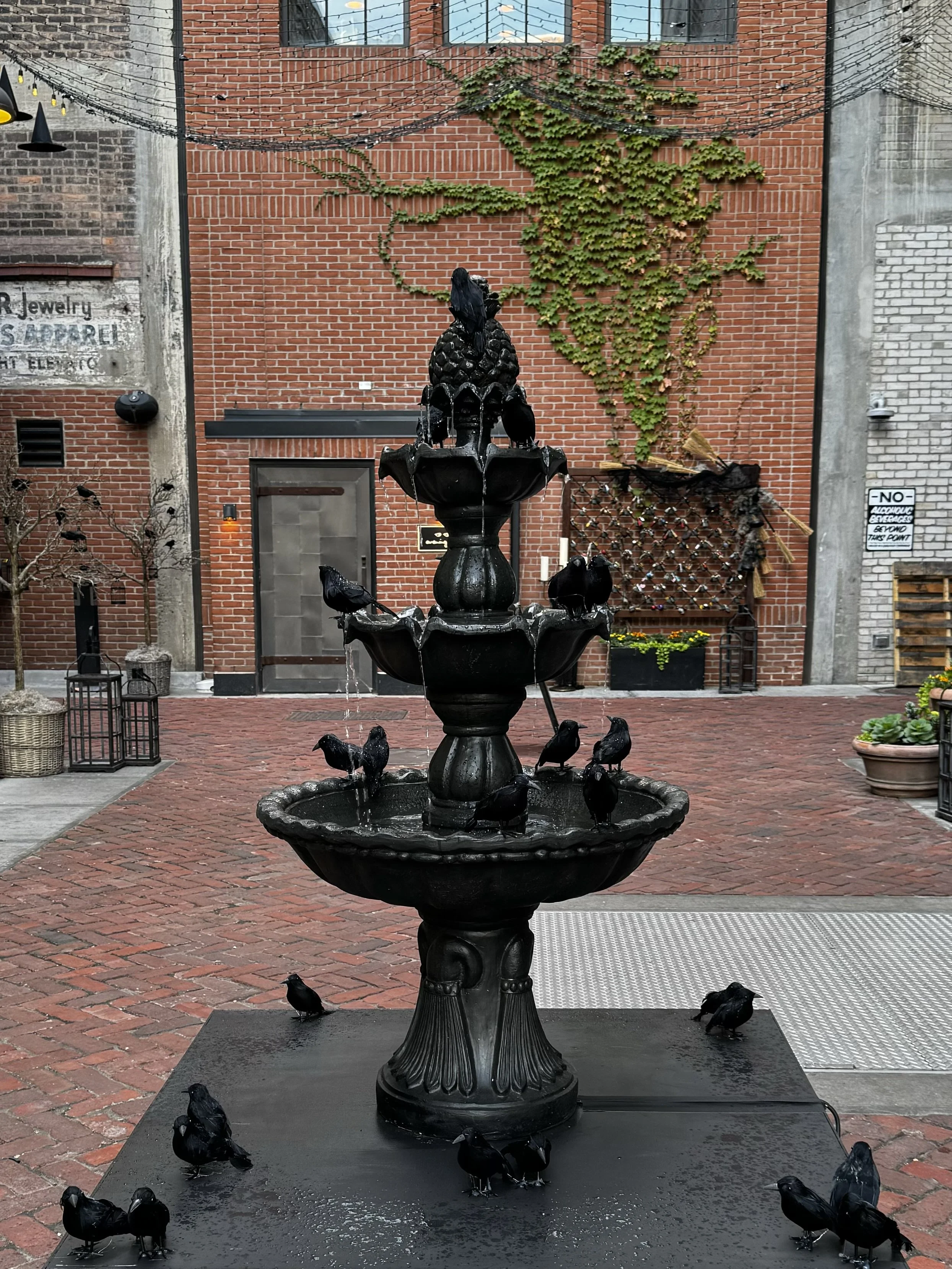 IMG_0291.jpeg