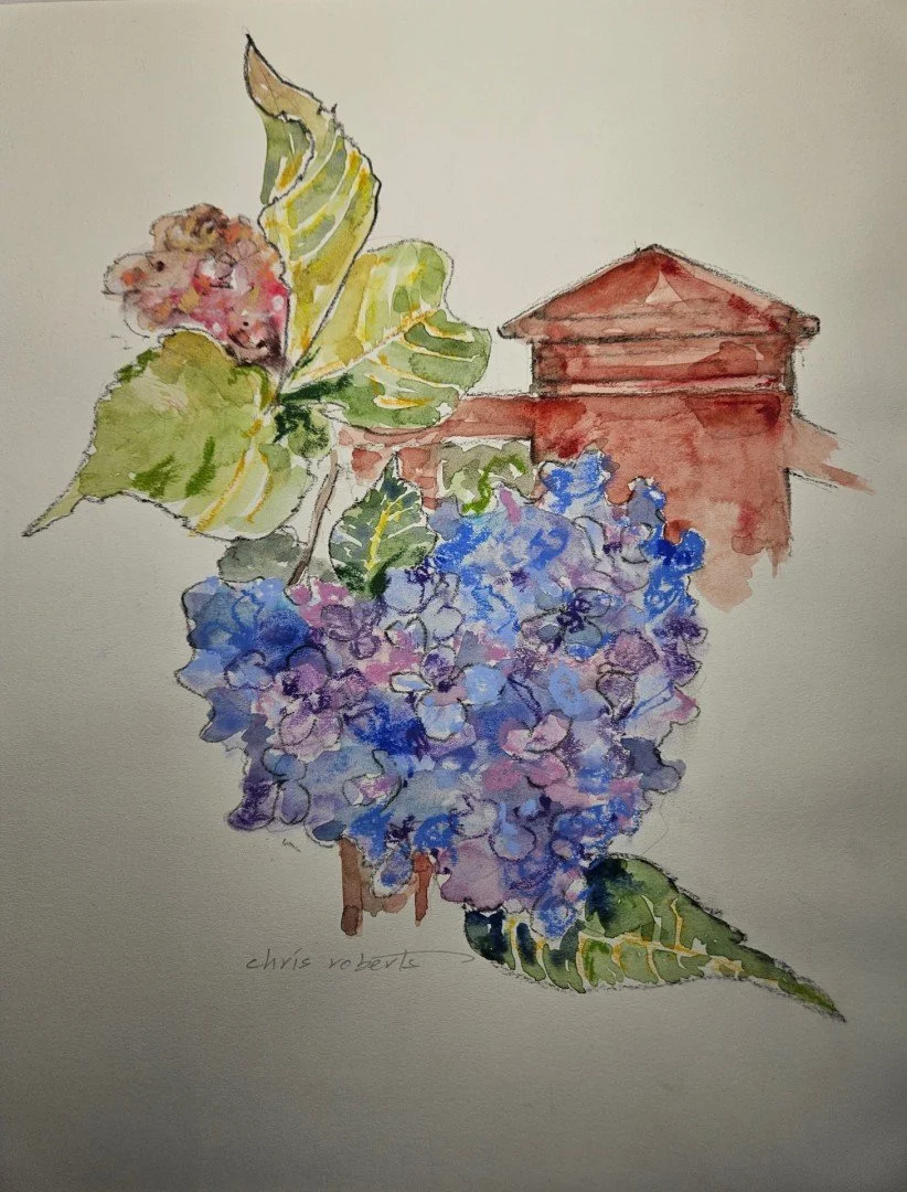 Hydrangea and Fence Post
Chris Roberts
Third Place