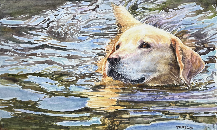 Watercolor Demonstration with Artist Betsey MacDonald “Pets at Play”