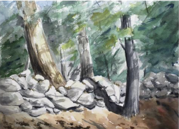 Dedham Senior Center Exhibit - Art exhibition featuring the work of Peter Shaw