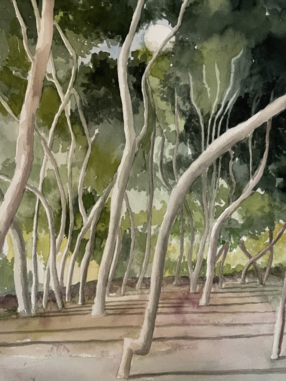 Spring Members’ Exhibit 2026 