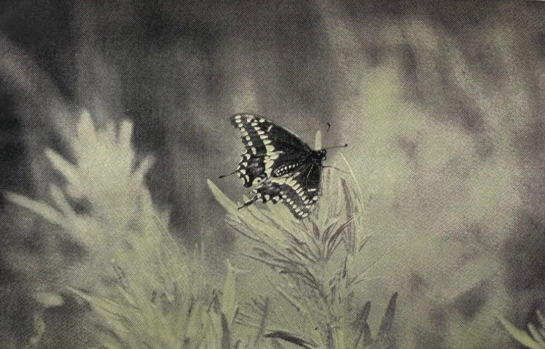 "Start Anew"
Isaac Galano