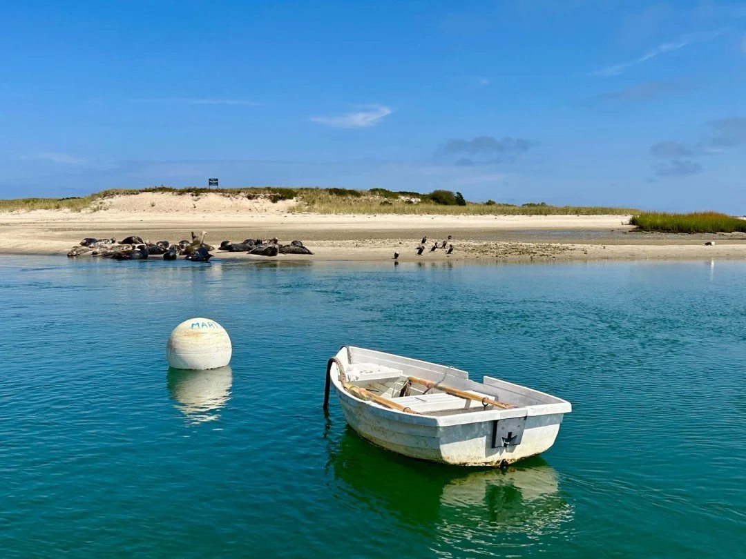 "Chatham Dinghy"
Susan Grim
Honorable Mention Spring Show 2026