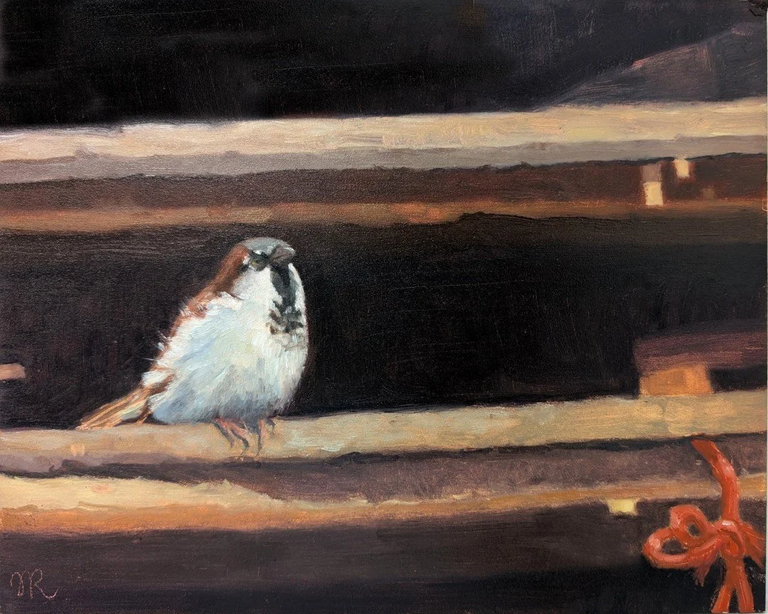 Sheltering Sparrow
Judith Robichaud
Honorable Mention