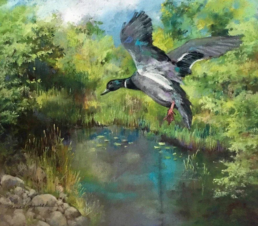 "Landing"
Mona Podgurski
Second Place Spring Show 2026