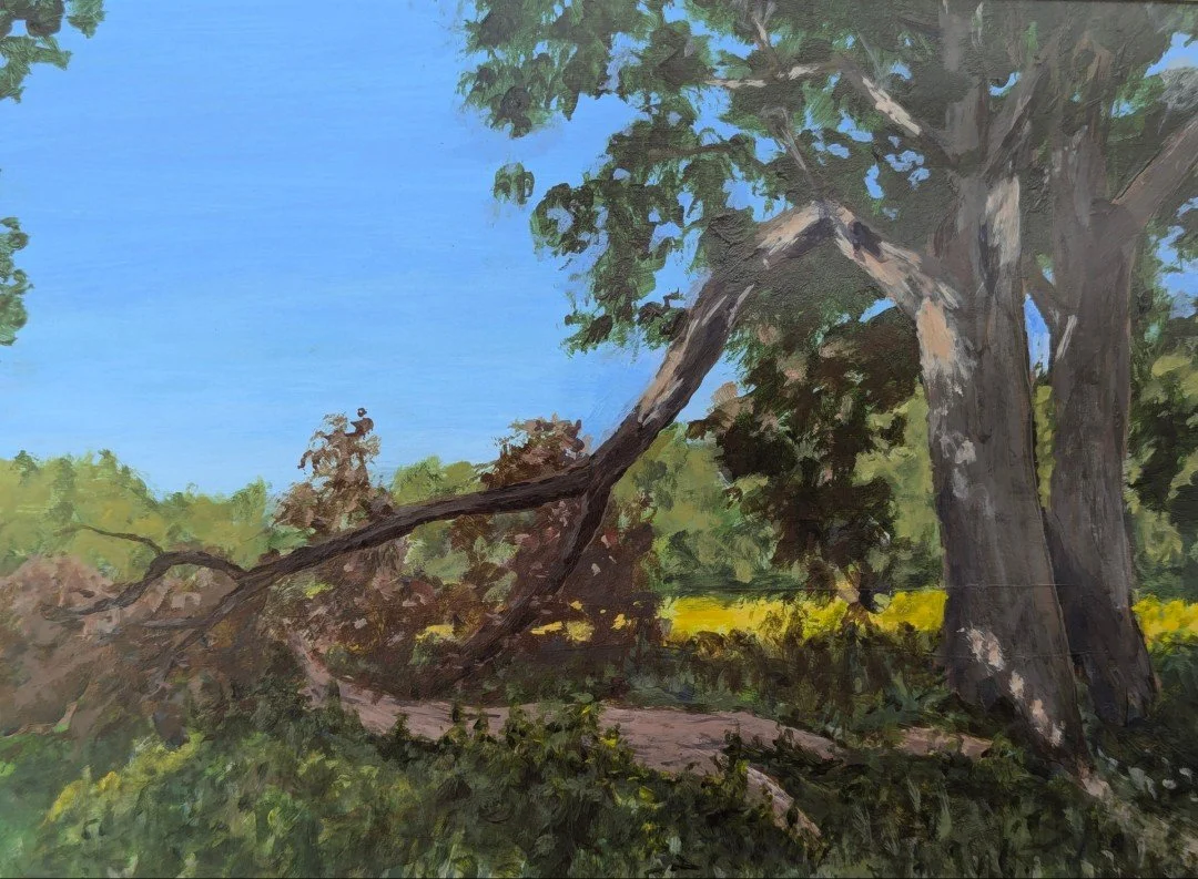 "Broken Tree, Charles River Peninsula"
by Alex Cullen