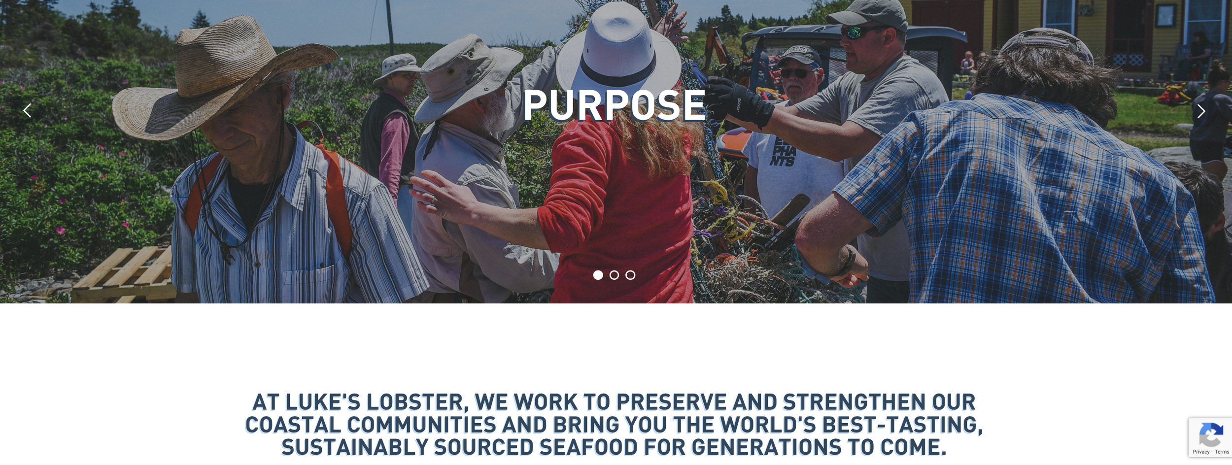 Lukes+messaging+mission+statement.png