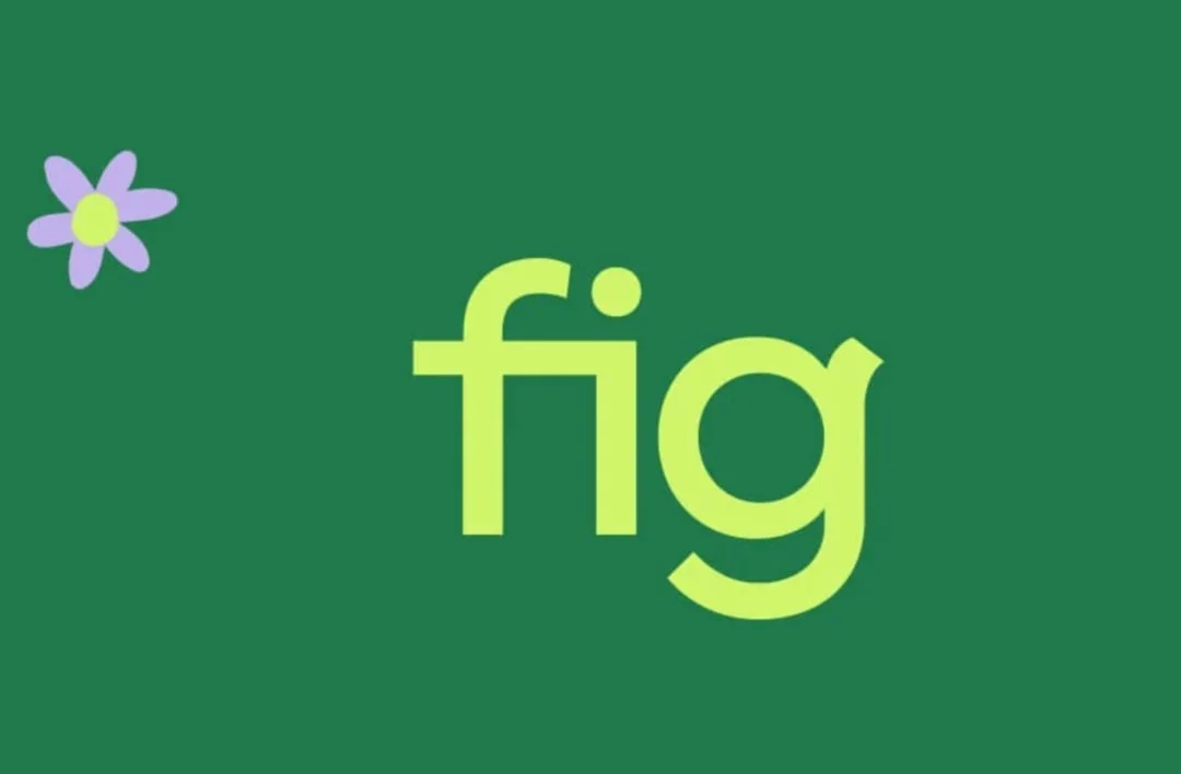 Fig-For-Kids-coming soon.jpg