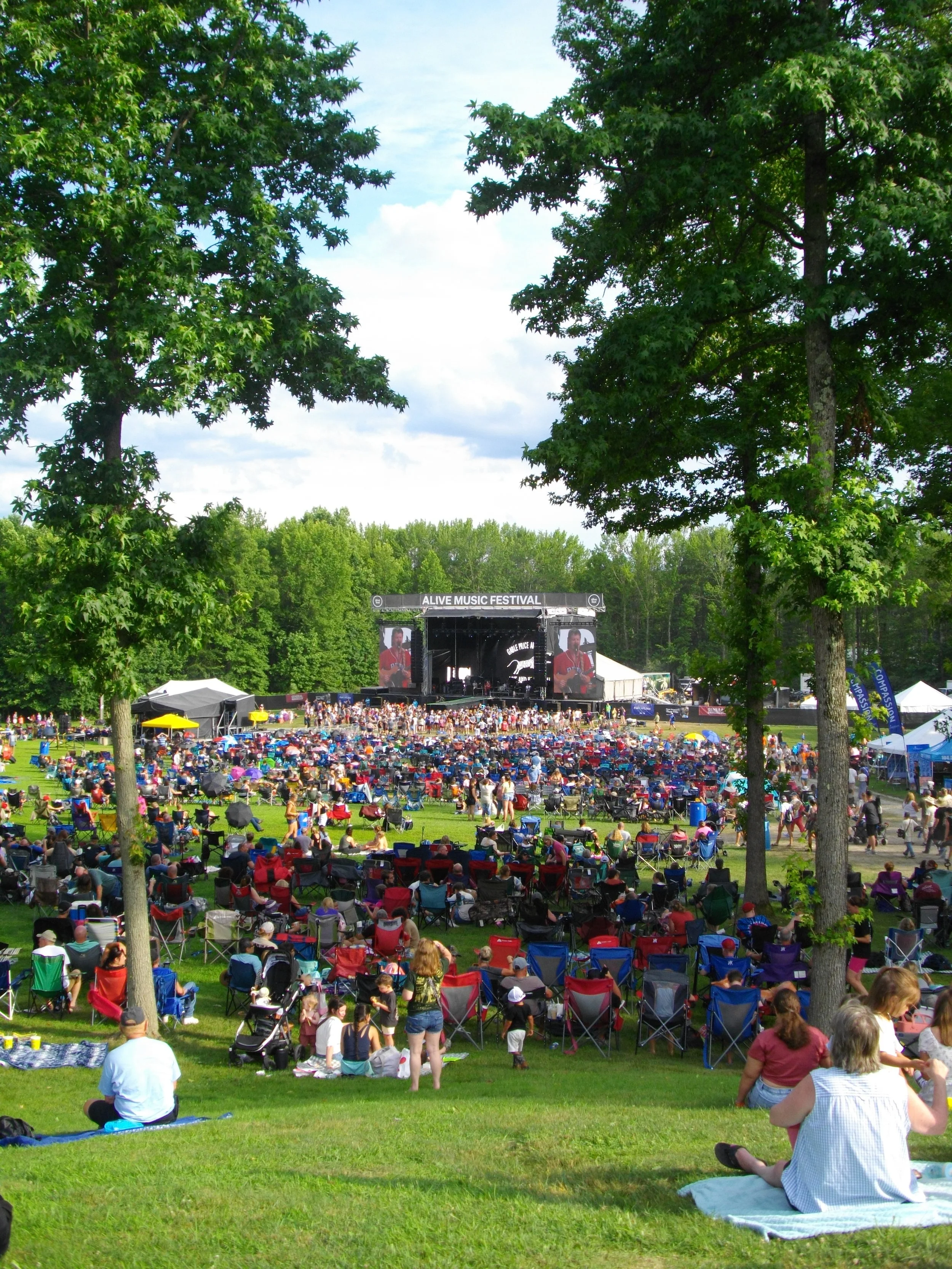 ALIVE Music Festival