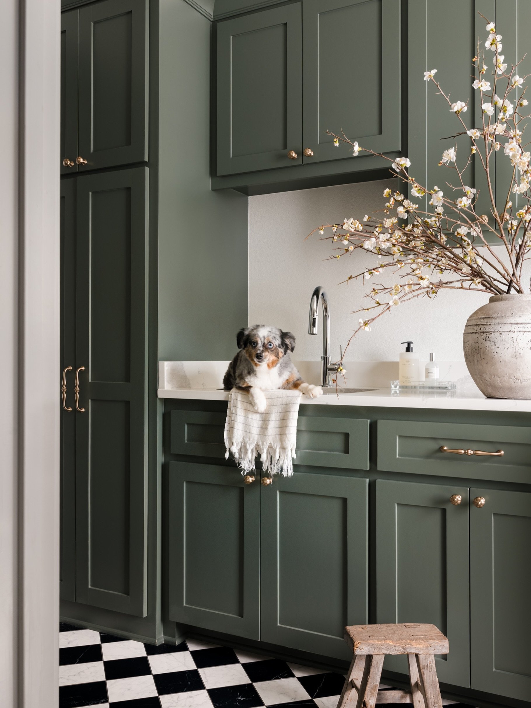 Shaker-style cabinetry, black-and-white checkered floors, warm brass, and a doggo who spent most of the day nipping at my ankles whenever I got near @brittneylaneinteriors to talk about a shot.

I gotta say, I&rsquo;m still surprised to this day that