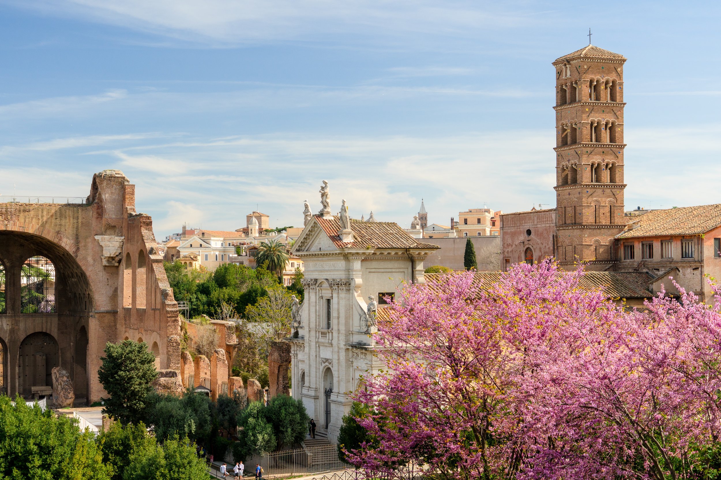 View of Rome skyline with ancient ruins, a bell tower, statues, blooming pink trees, and people walking in the foreground on a sunny day.
