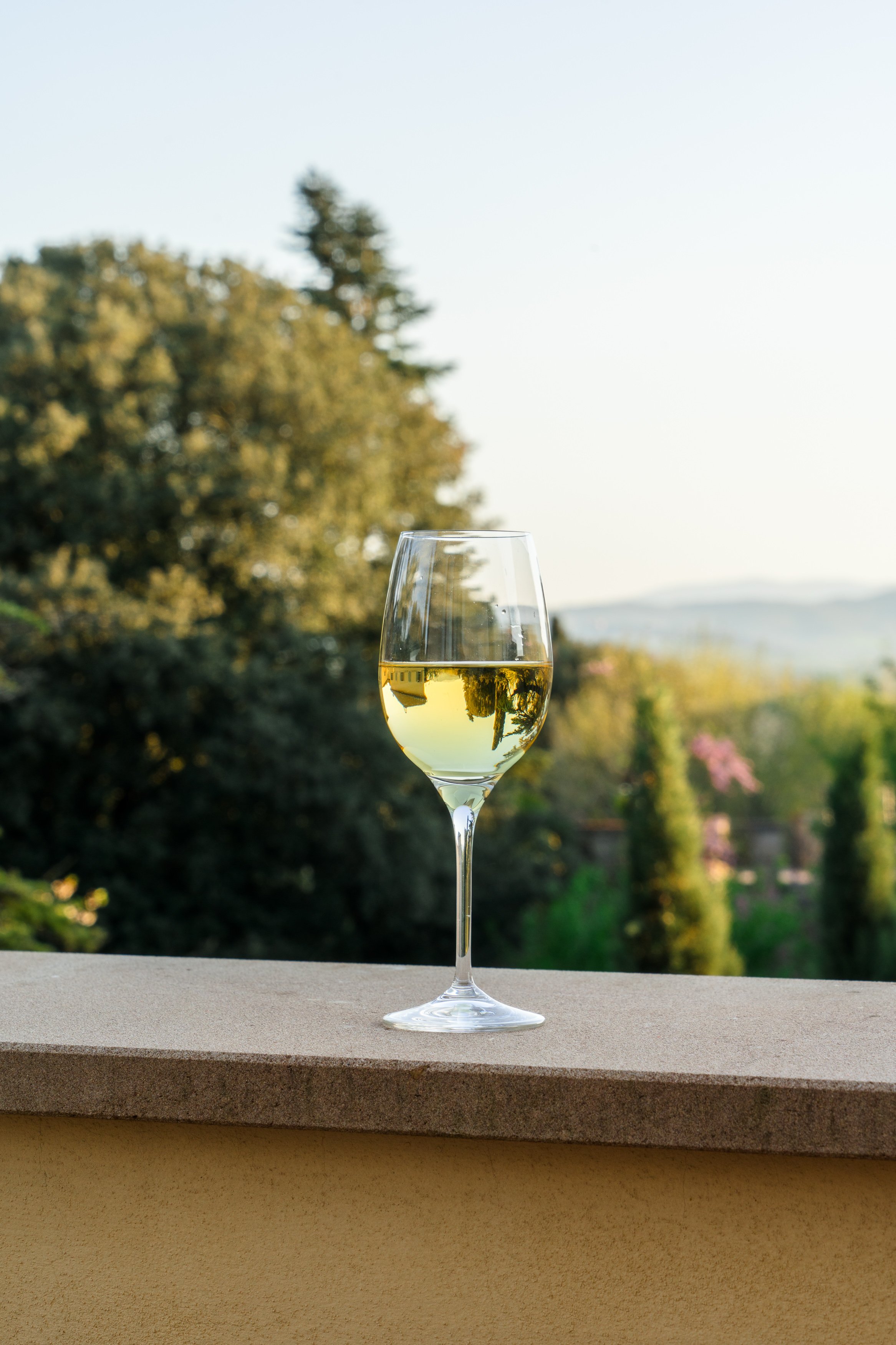 A glass of white wine on a windowsill with a blurred outdoor background of trees and hills.