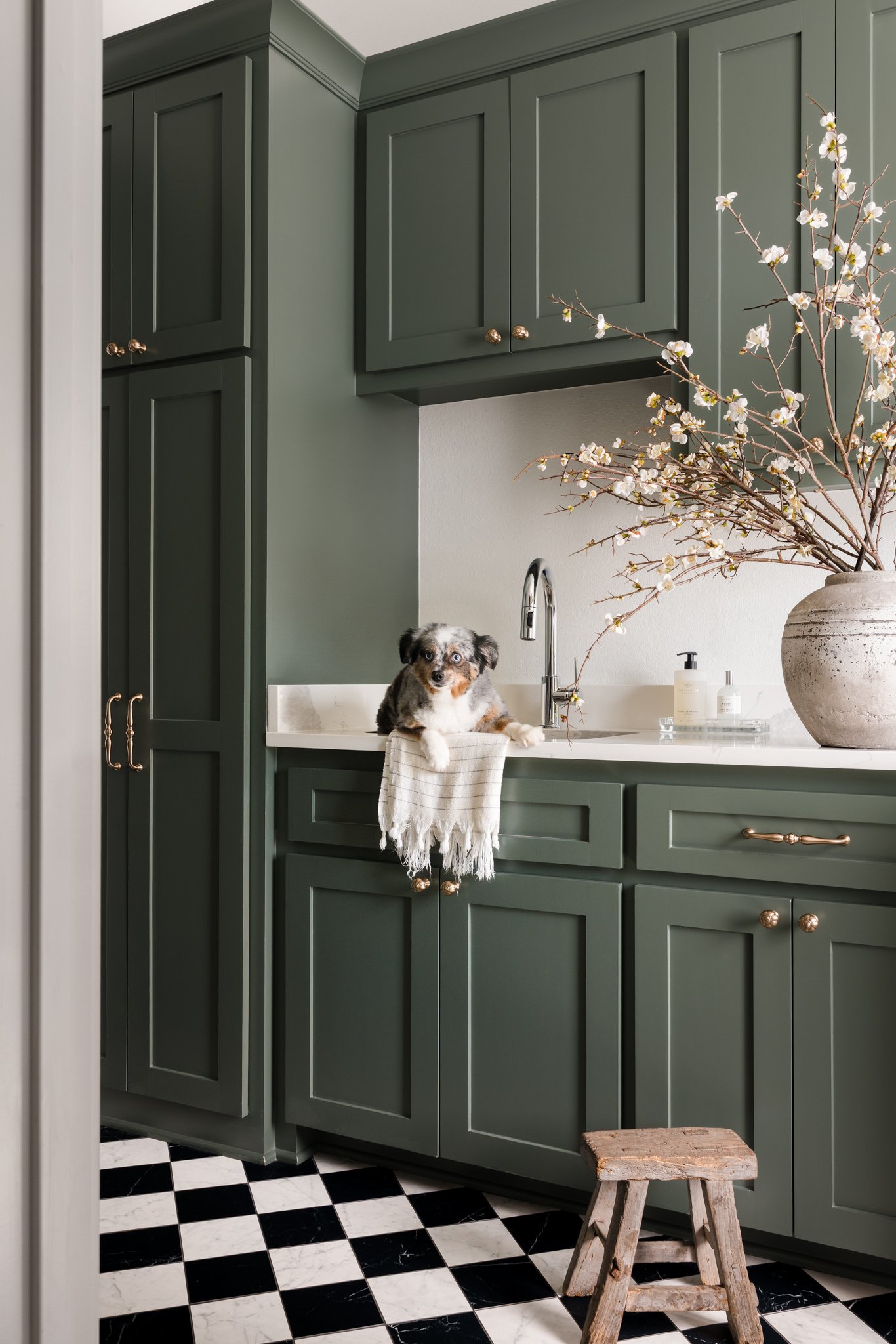 A dog lying on a kitchen counter next to a large vase with white flowers, green cabinets, and a black and white checkered floor.