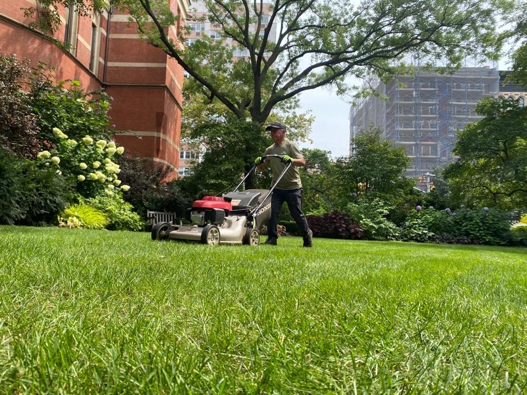 Watercolor illustration of a strip of green grass.