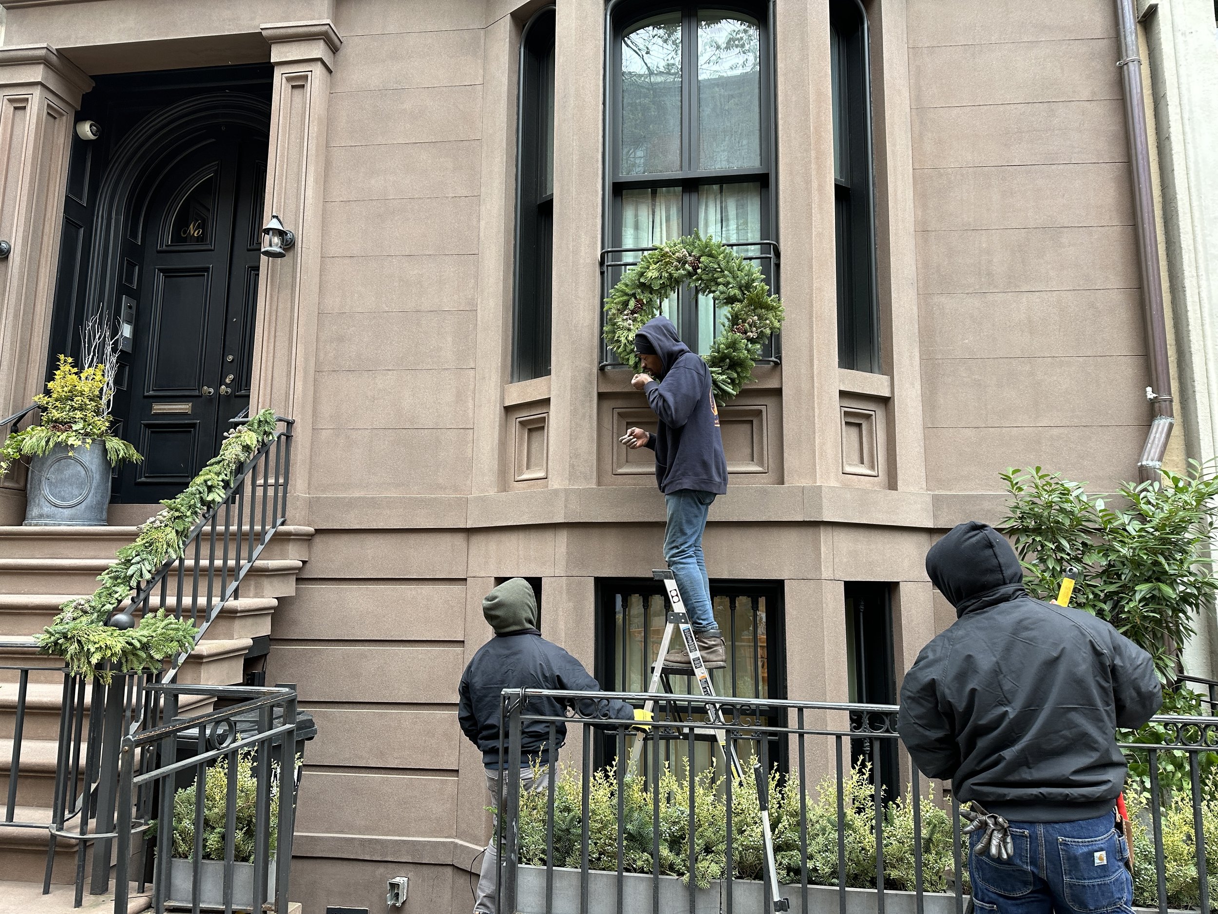 A circular arrangement of green leaves forming a wreath on a black background.