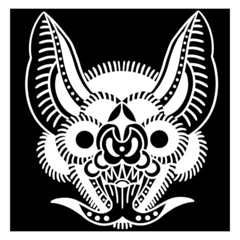Wicked Little bats -
Legally and Sustainably sourced specimens