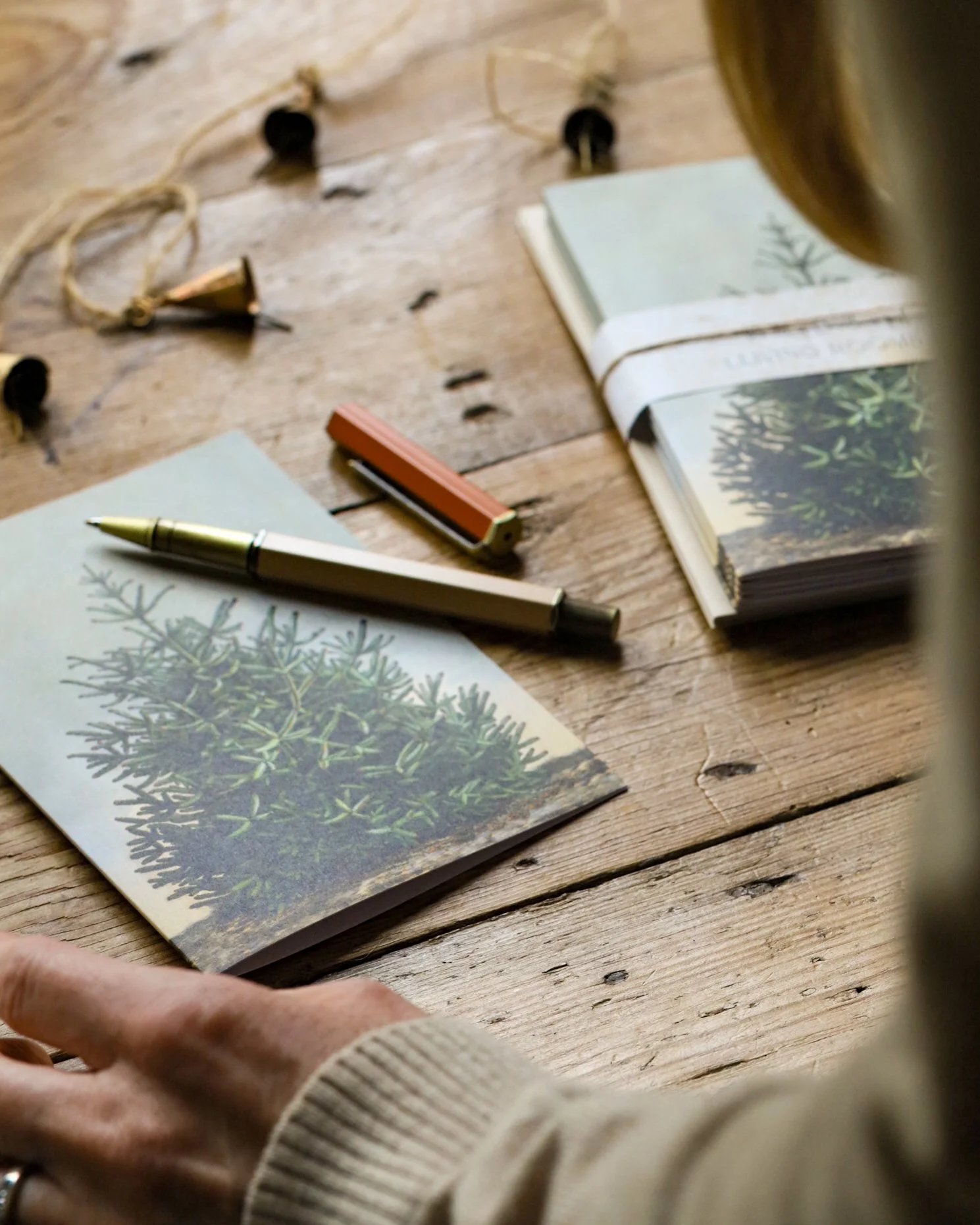 Step back in time with our curated seasonal greeting card sets