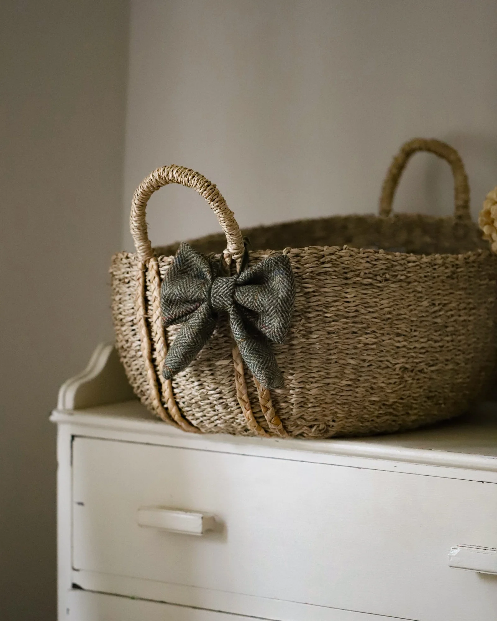 The Clò Mòr Bow - Little Edition.