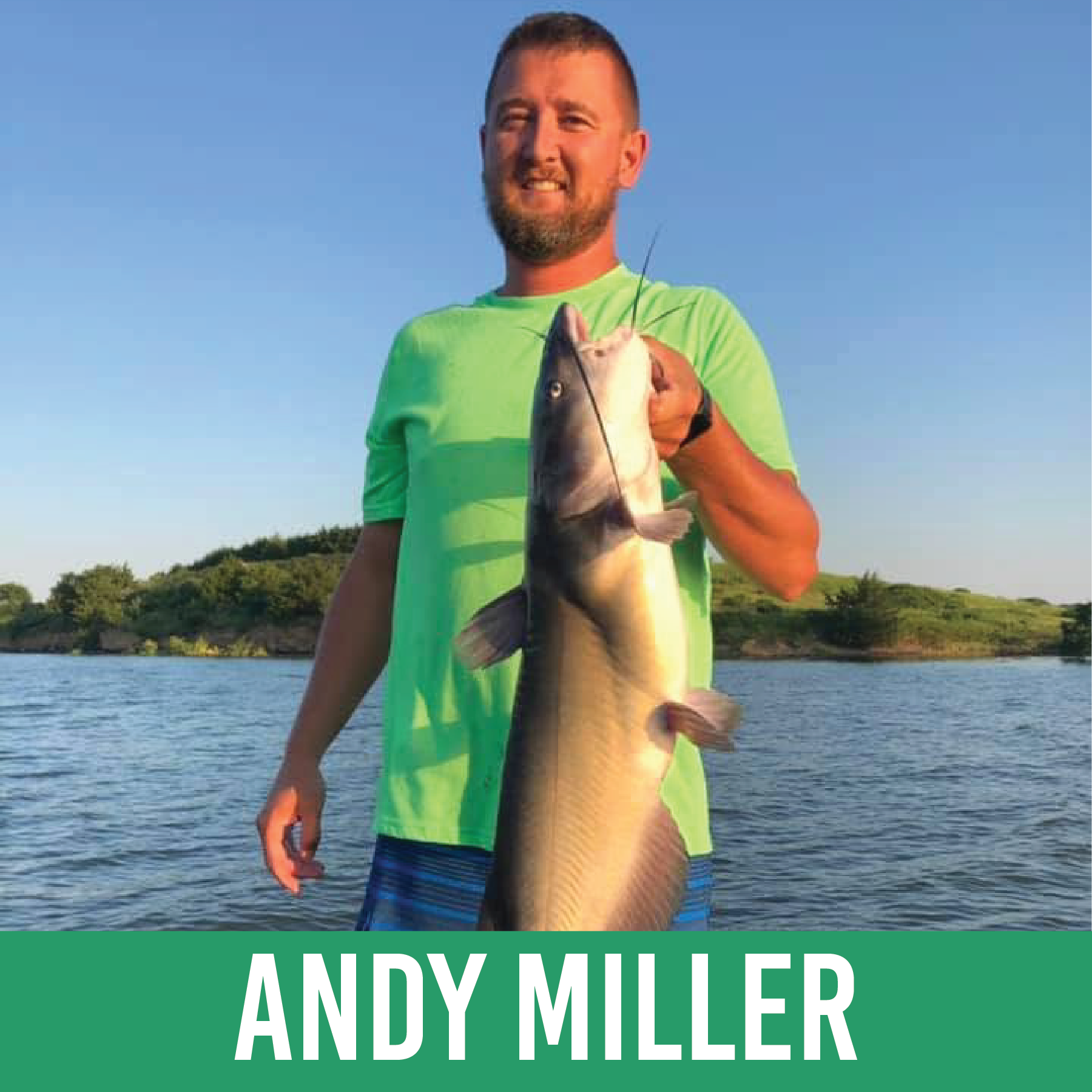 Andy Miller