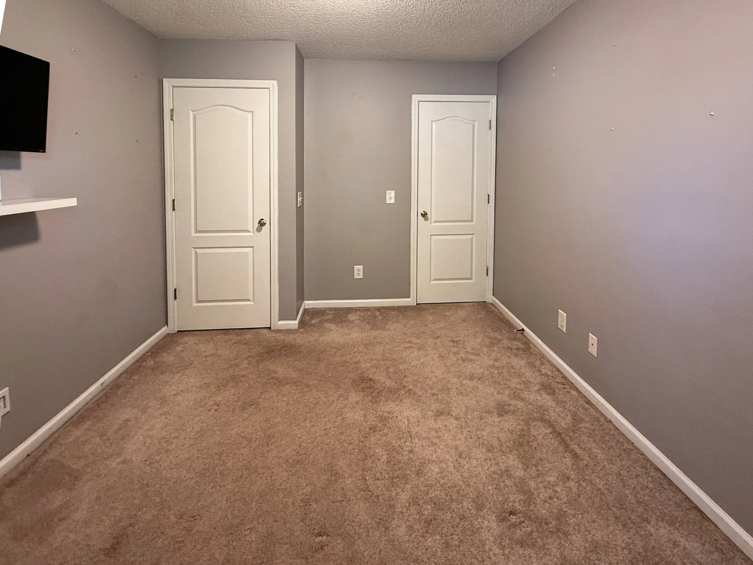 An empty room with beige carpet, gray painted walls, and two closed white doors.