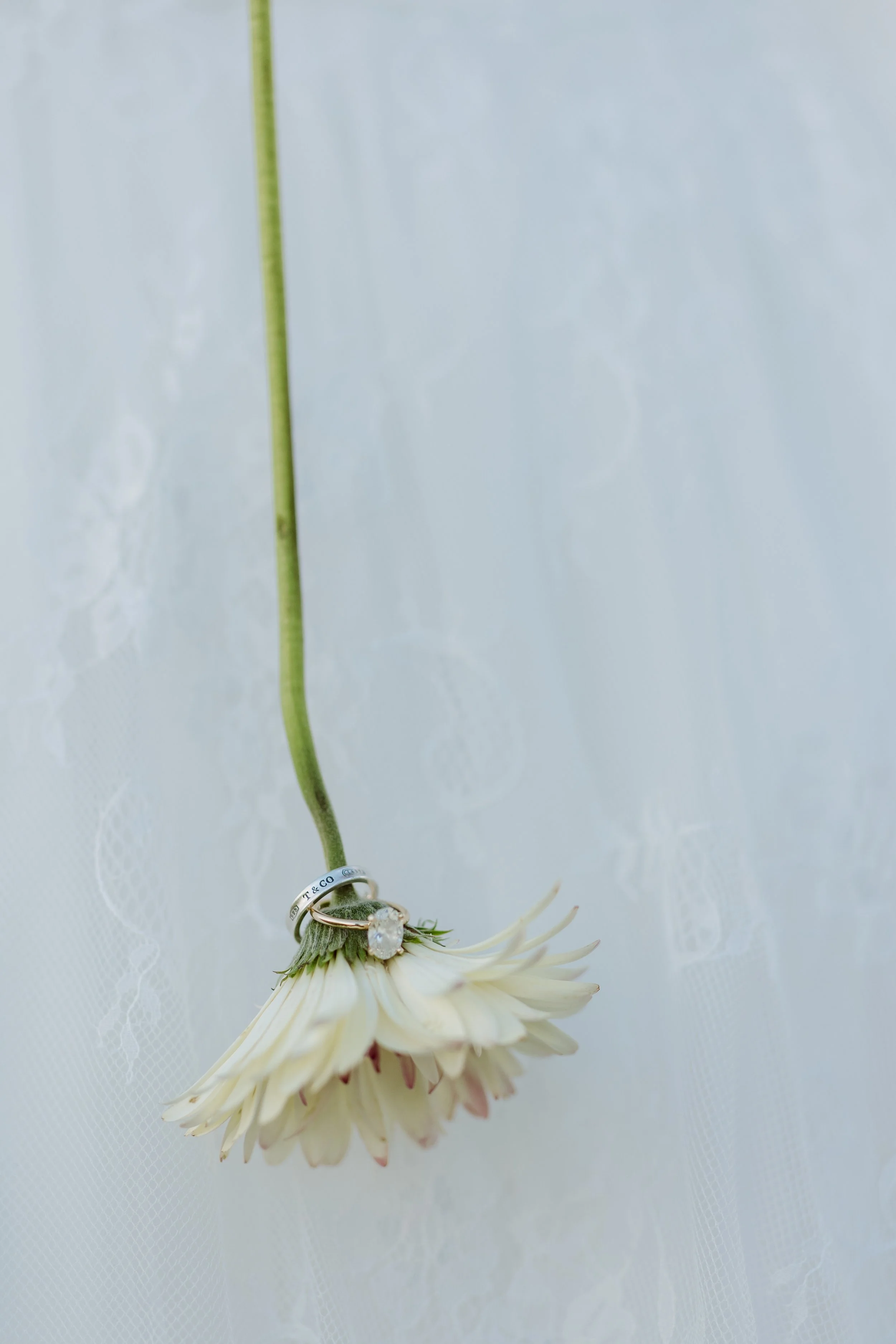 A white flower with a diamond engagement ring and a plain silver wedding band, both with engraved text, placed around the flower's stem against a white background.