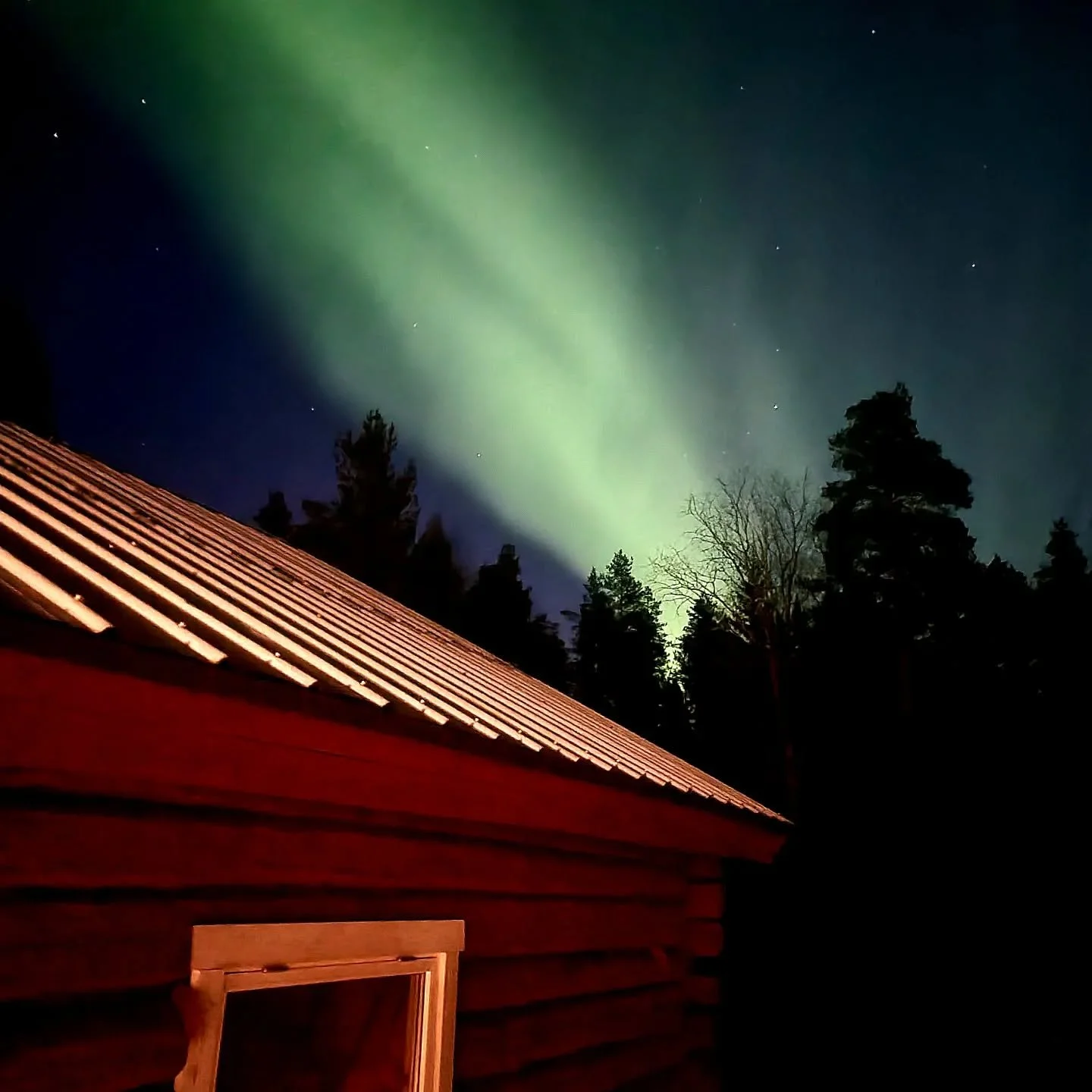 Hoppas ni alla har ett sk&ouml;nt p&aring;sklov 😍

Bj&ouml;rnen for norrut till Ume&aring; och fick se p&aring; ett sk&aring;despel 🤩