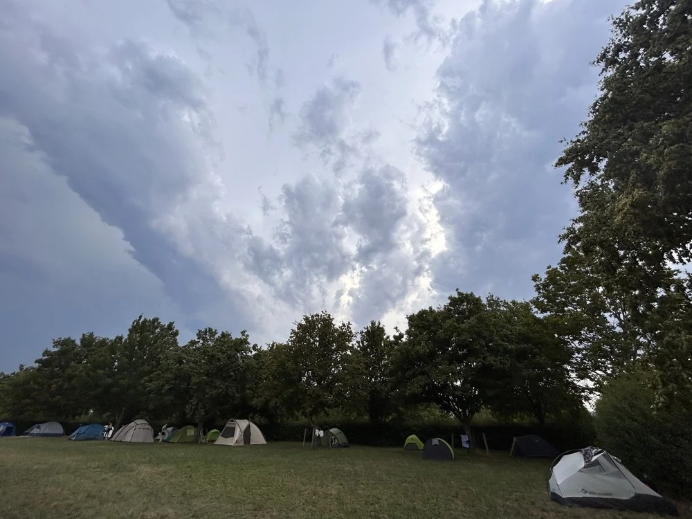 IMG_7797 Large.jpeg