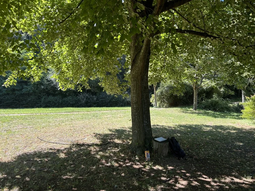 IMG_7838 Large.jpeg