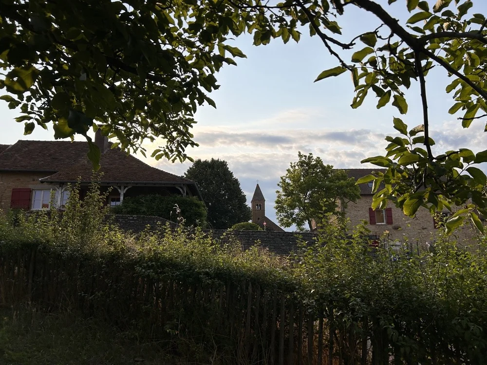 IMG_7779 Large.jpeg
