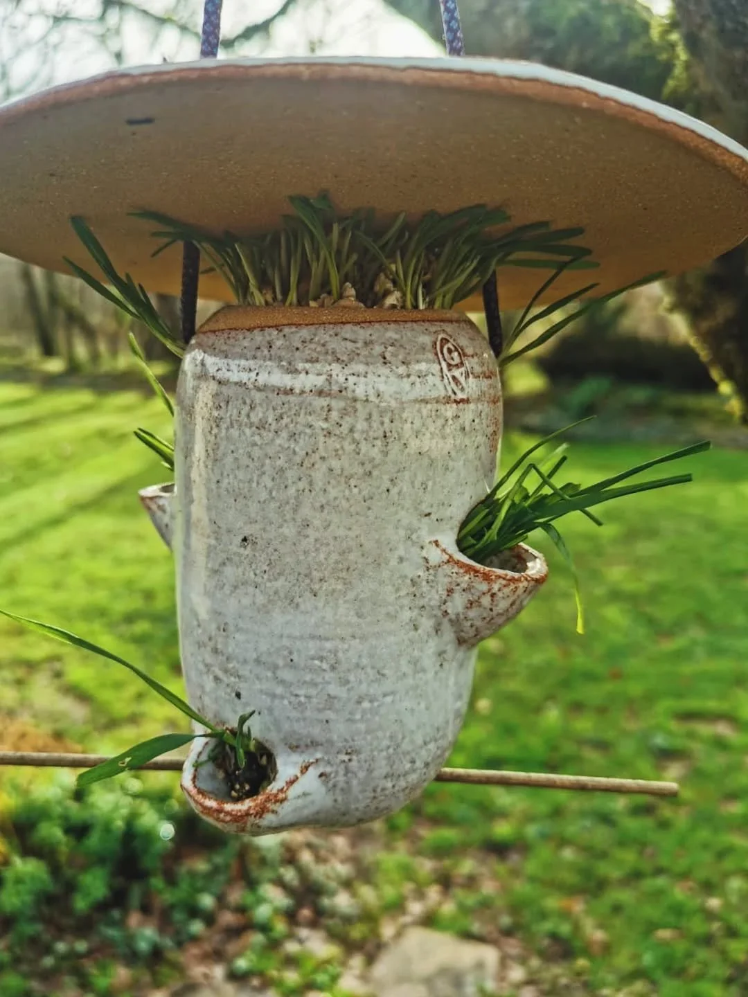 Lorsque la m&eacute;t&eacute;o est trop humide, il arrive que vos graines de tournesol se mettent &agrave; germer dans votre mangeoire. 😄
Il faut alors retirer ces jolies pousses et tout nettoyer avant de la remettre en place avec de nouvelles grain