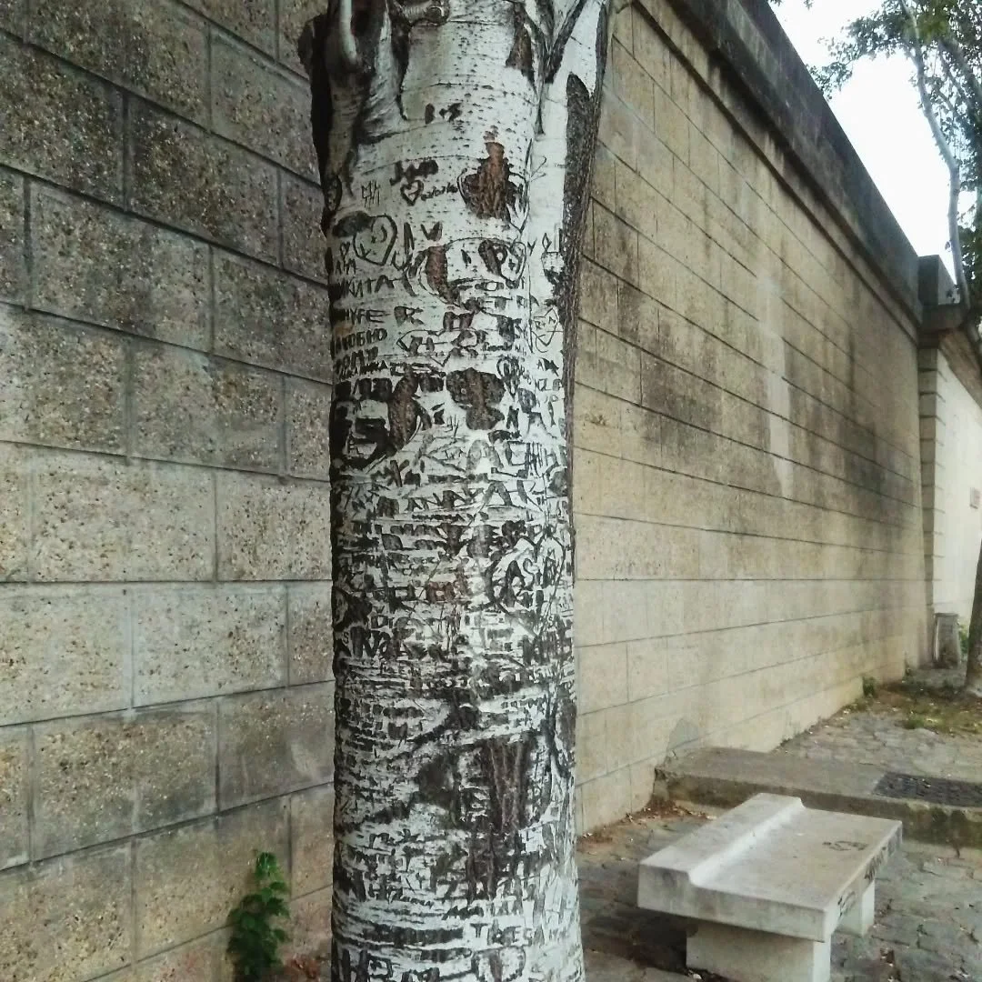 Vous voulez lui dire "je t'aime", mais sans blesser un arbre ? Faites-le sur un mug fait main ! 👍

Des bisous &agrave; B et M &agrave; qui on souhaite encore des d&eacute;cennies de bonheur. Et une sp&eacute;ciale d&eacute;dicace &agrave; 