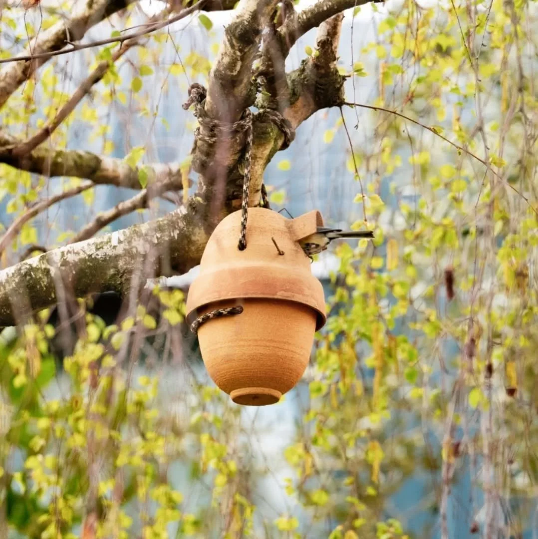 L'aff&ucirc;t est un art difficile. Mais quand on saisit au vol un bout de vie sauvage, quelle joie ! Et quel talent de photographe @alaindelorme ! Merci 🐦