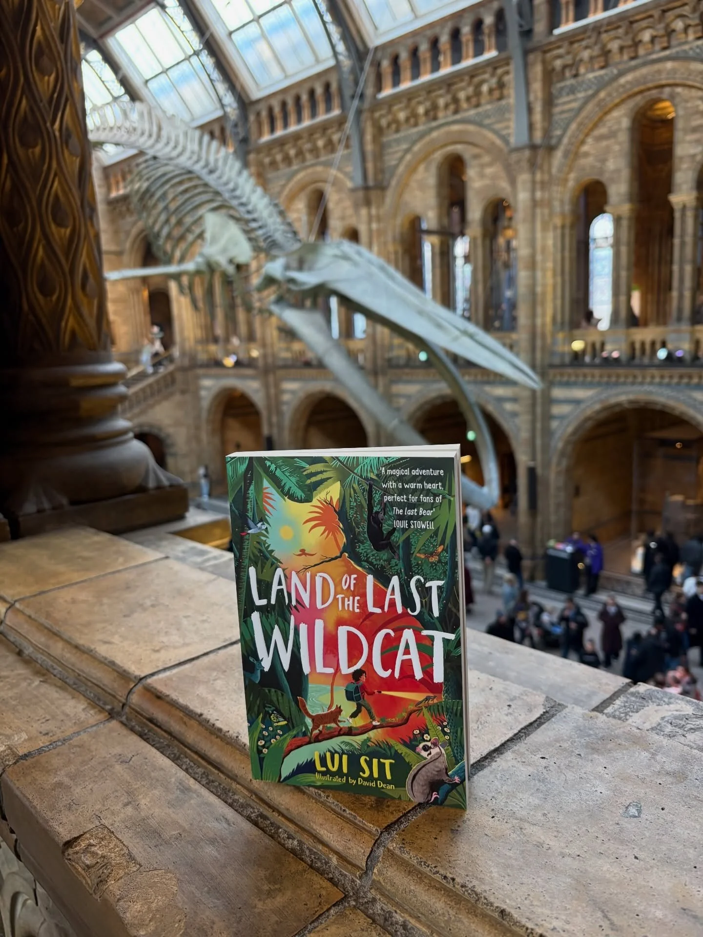 A friend posted a photo of LAND OF THE LAST WILDCAT in The Natural History Museum bookshop @natural_history_museum 🦖 I popped in and lo behold- it was real! A heart-swell, milestone of a moment for me. ✨This renowned research institution was never f