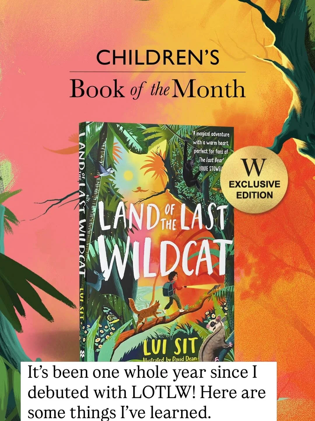 Happy Birthday LAND OF THE LAST WILDCAT 😻🥳🎂📚 One year ago you burst into public life and rocked my world. 🌏 🧡