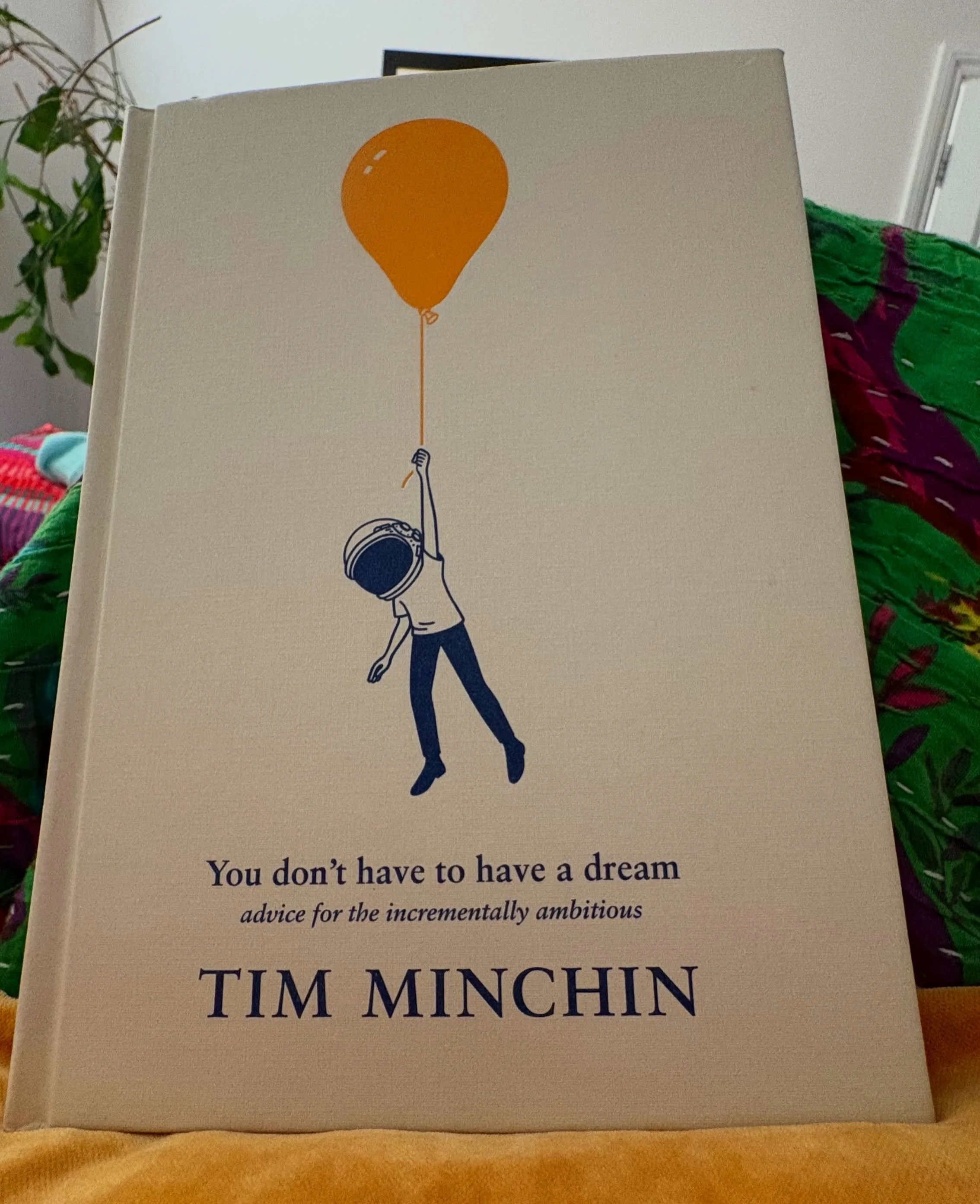 Made my deadline 🥳 Took a minute out to read - YOU DON&rsquo;T HAVE TO HAVE A DREAM - by @timminchin based on three commencement addresses he made at @universitywa @waapa.ecu &amp; @mountviewldn  Coincidentally I was studying at UWA &amp; WAAPA the 