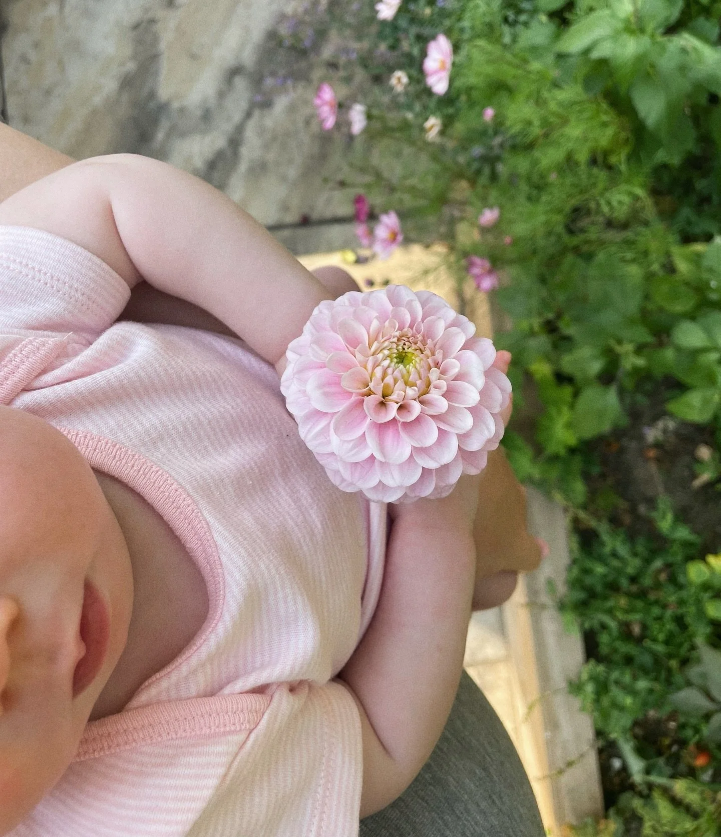 🌸 Update 🌸
Last summer I did 30+ wonderful weddings, I literally did not stop! This summer has been a bit different&hellip;at the end of June I had a beautiful baby girl. Her name is Clementine and she&rsquo;s just perfect - I feel very lucky to ha