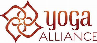 Gecertificeerd yoga docent