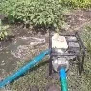 Irrigation.jpg