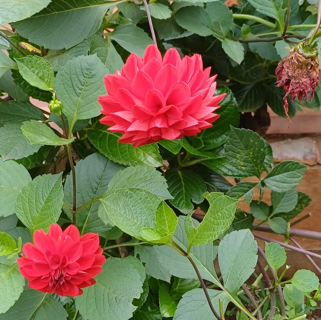 On Assignment in Burundi