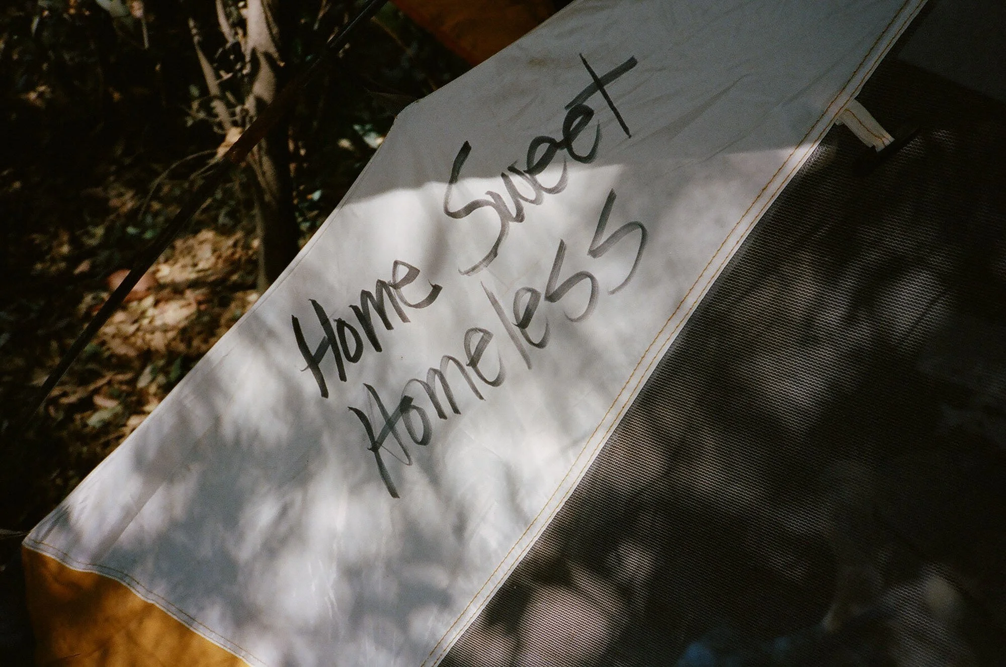 80390024.jpg