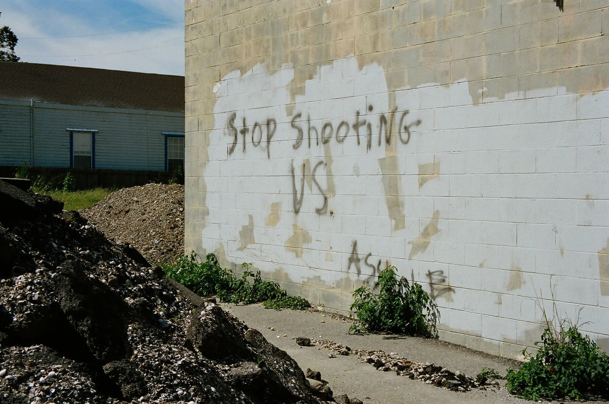 80460032.jpg