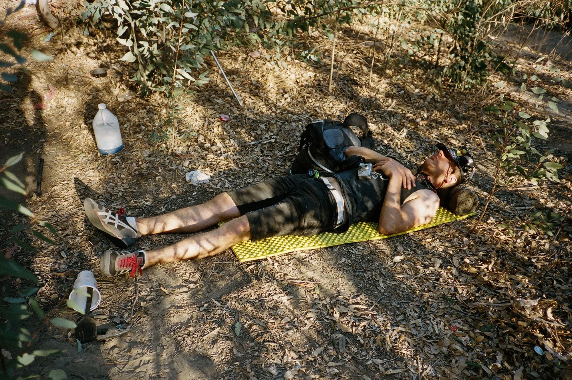 80390031.jpg