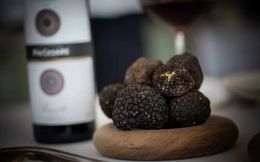 Barolo & Truffles Wine Dinner feat. The Piedmont Guy