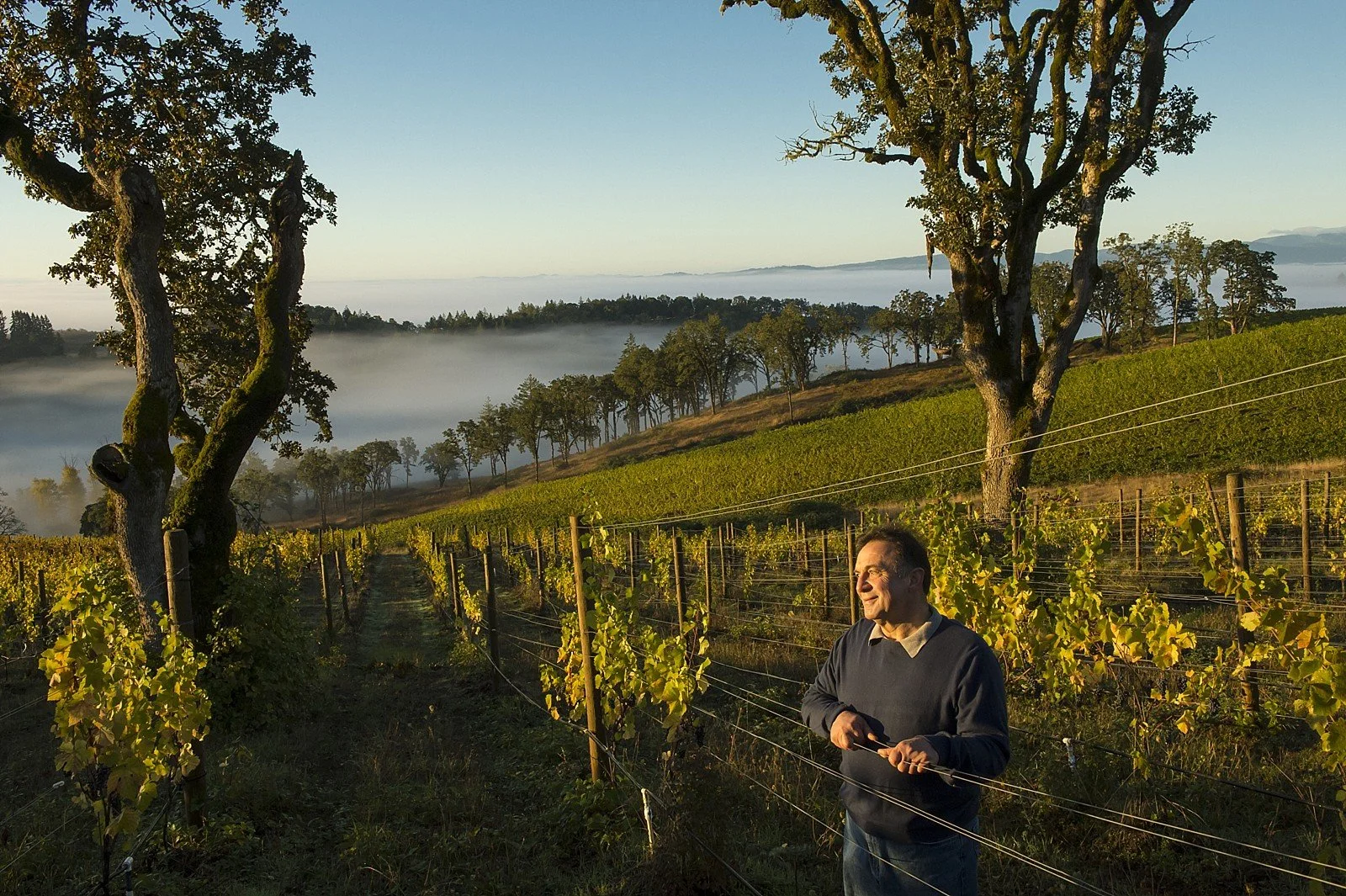 Willamette Valley Wine Dinner feat. Maysara