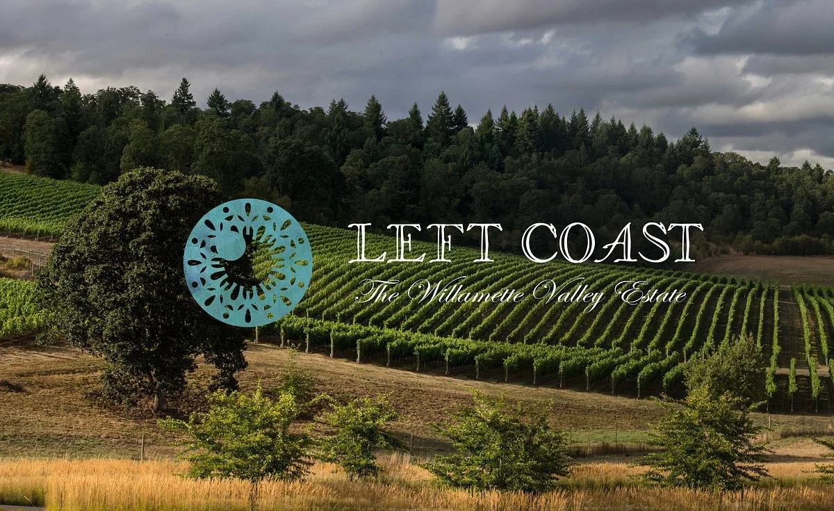 WINE CLASS: French Vibes, Willamette Vines