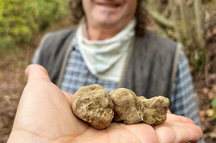 Barolo &amp; Truffles