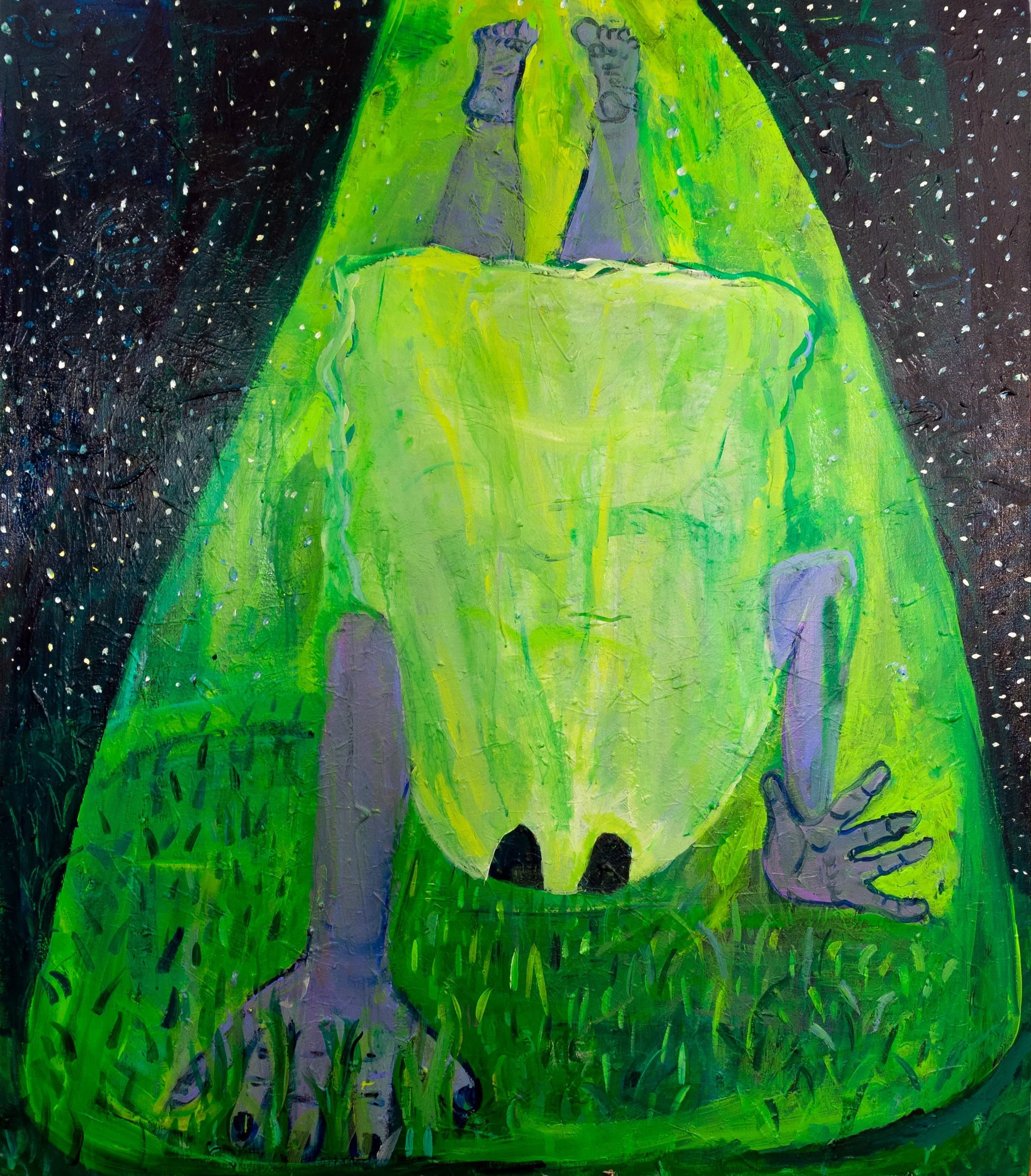 UFO abduction (Mulder was right)