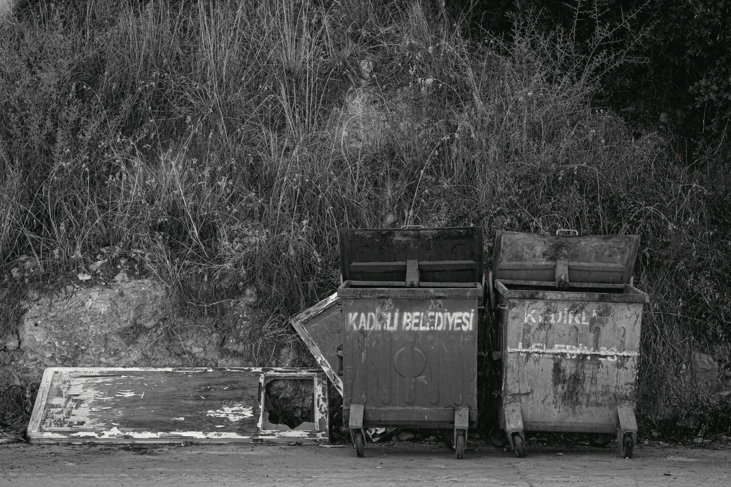 trauma dump (deluxe)