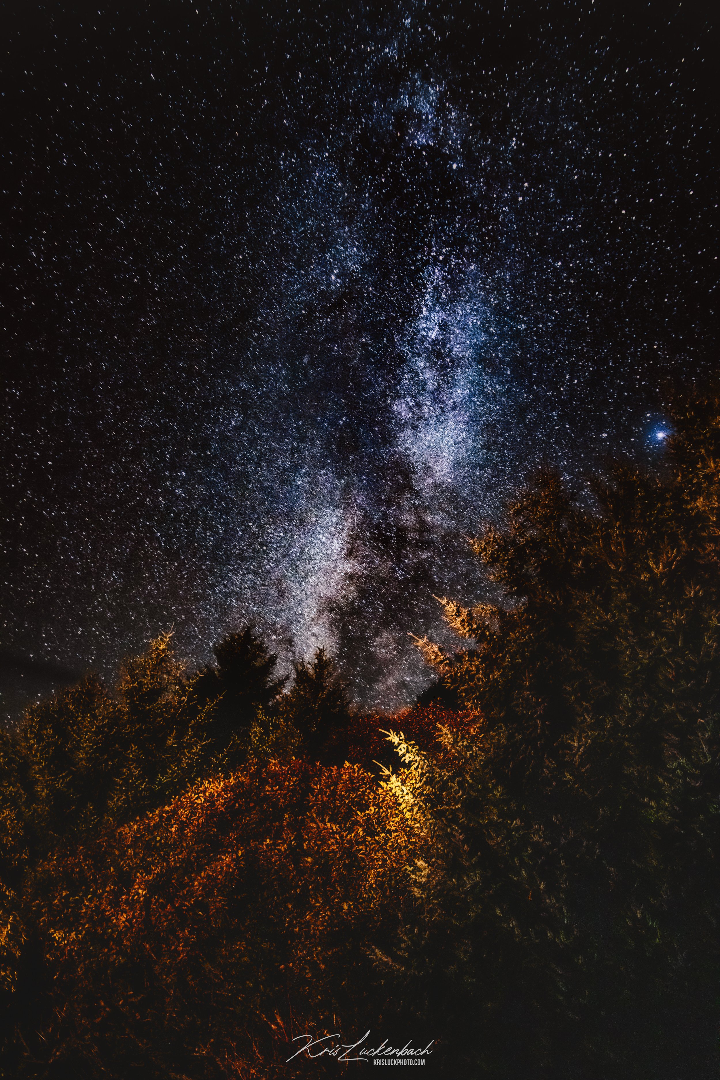 The Sky and the Trees.jpg