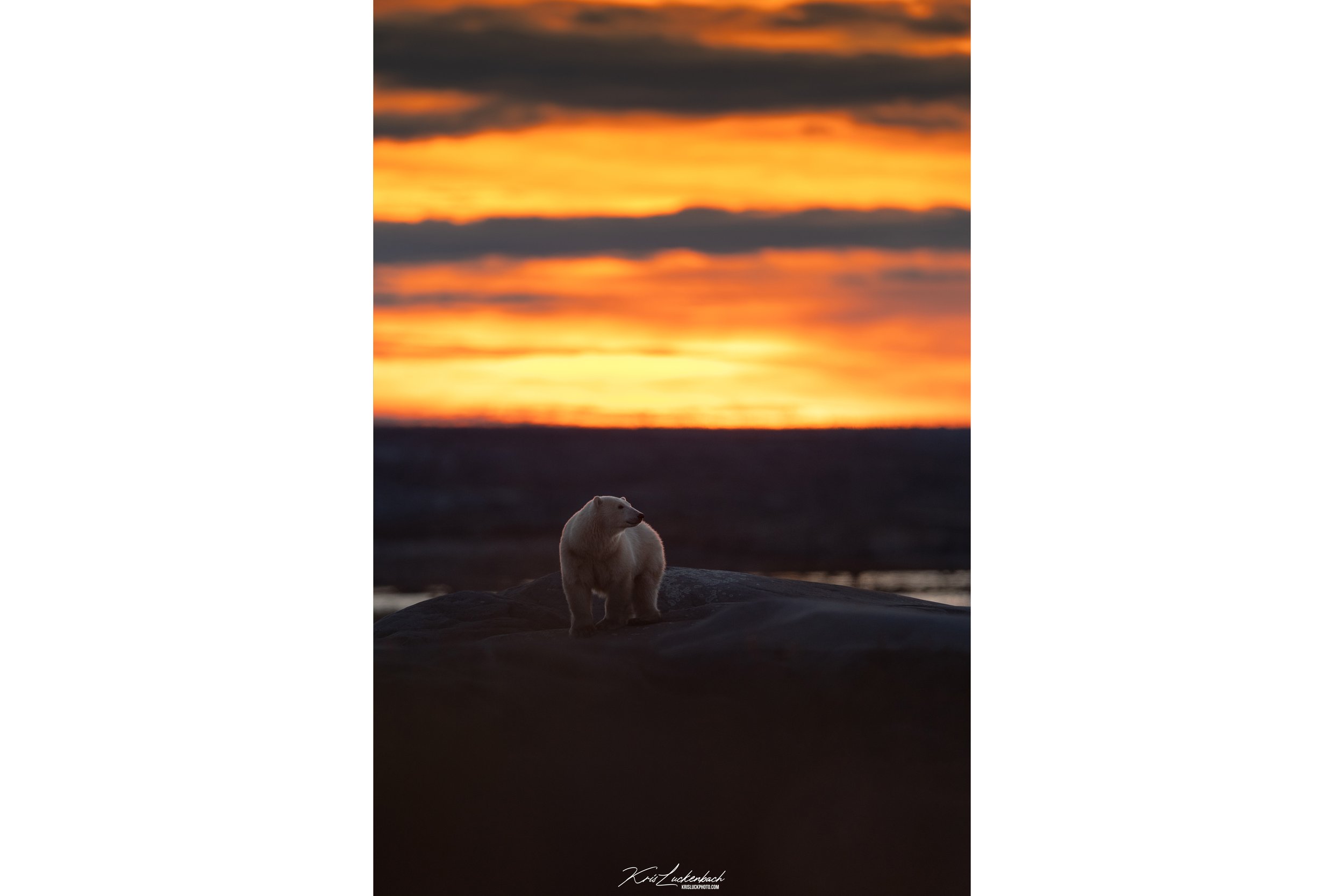 polarsunset.jpg